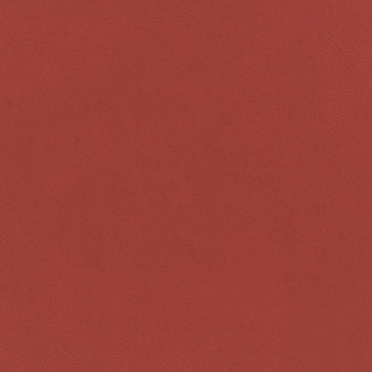 Warwick Eco-Velvet Coral