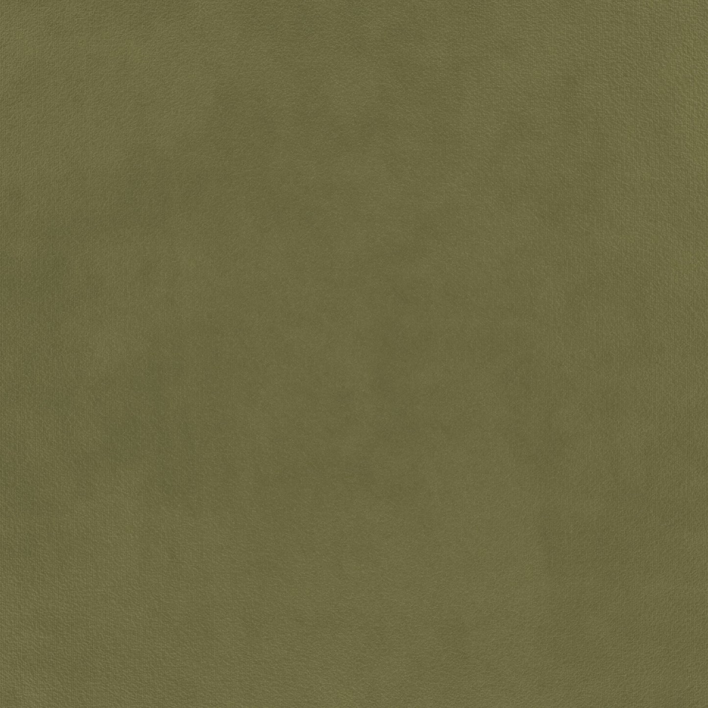 Warwick Eco-Velvet Olive