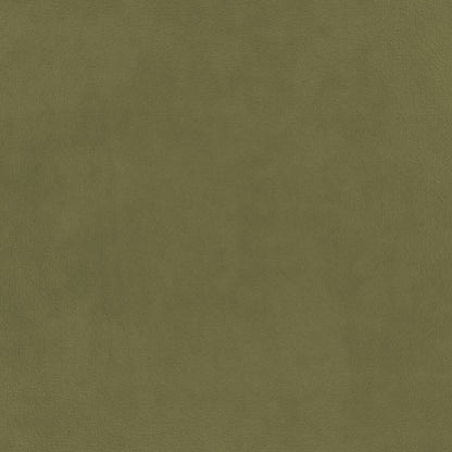 Warwick Eco-Velvet Olive