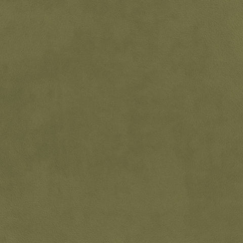 Warwick Eco-Velvet Olive