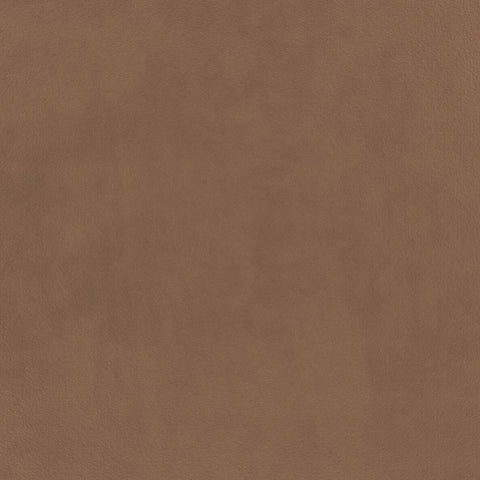 Warwick Eco-Velvet Sinopia