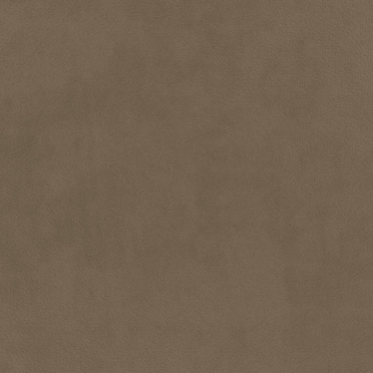 Warwick Eco-Velvet Timber