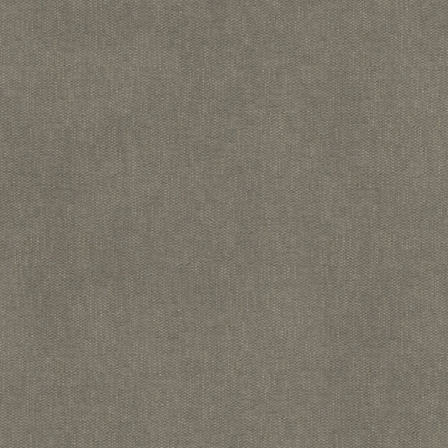 Warwick Edinburgh Dust