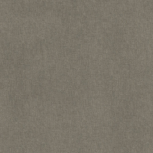 Warwick Edinburgh Dust