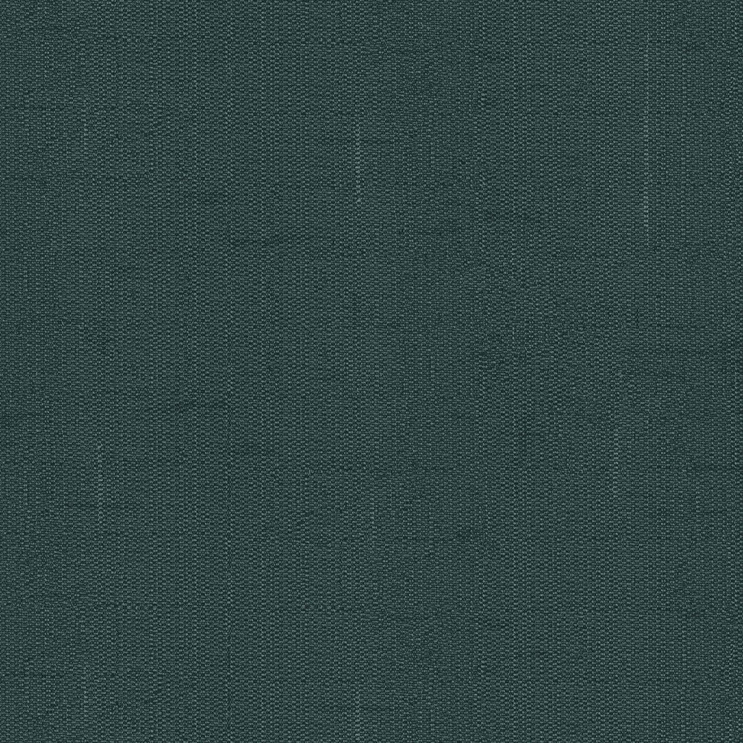 Warwick Edinburgh Evergreen