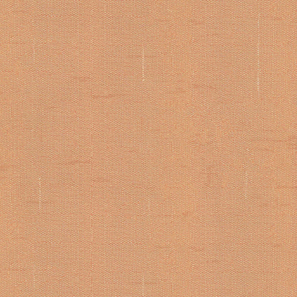 Warwick Edinburgh Henna