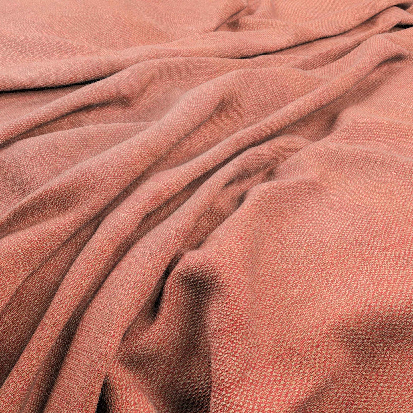 Warwick Edinburgh Pimpernel