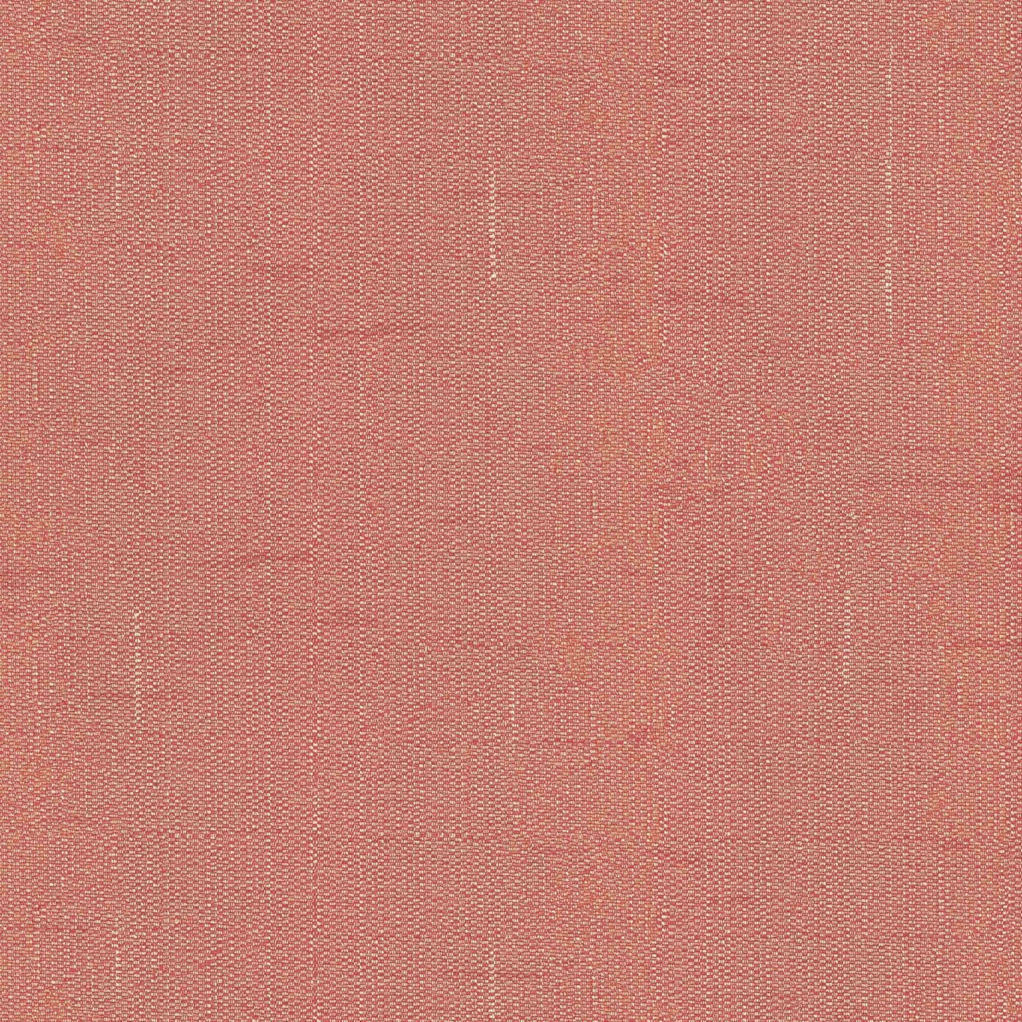 Warwick Edinburgh Pimpernel