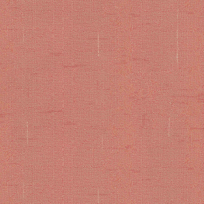 Warwick Edinburgh Pimpernel