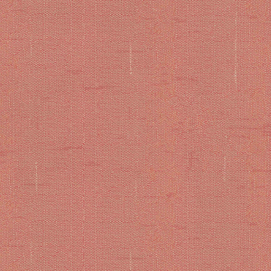 Warwick Edinburgh Pimpernel