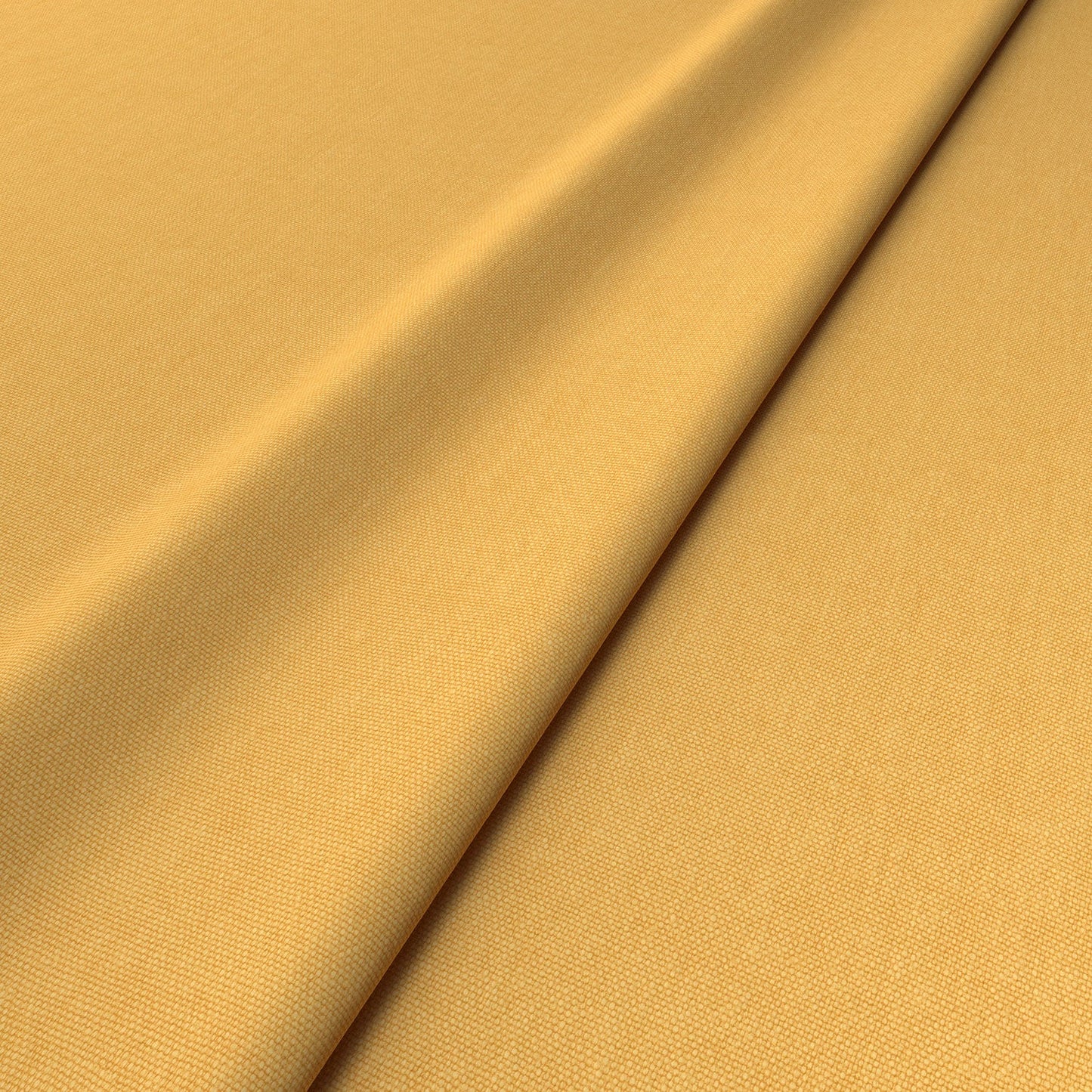 Linwood Elba Maize