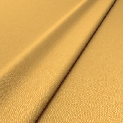 Linwood Elba Maize