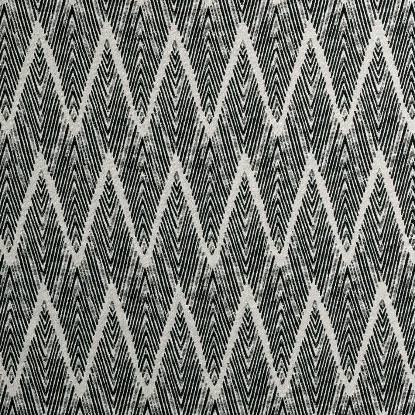 Clarke & Clarke Holzer Noir
