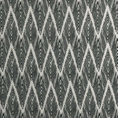 Clarke & Clarke Holzer Noir