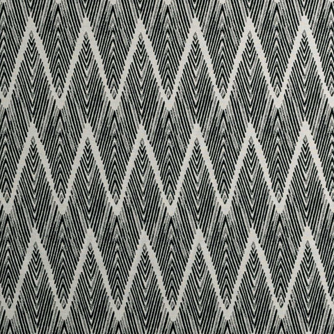 Clarke & Clarke Holzer Noir