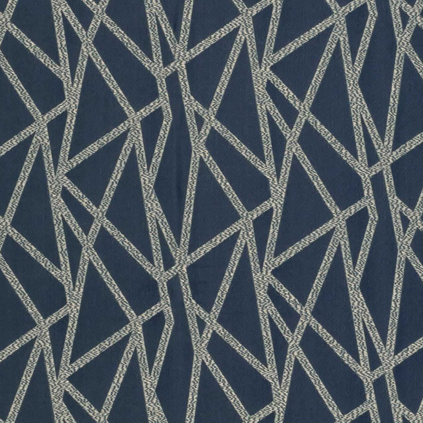 Clarke & Clarke Geomo Ink