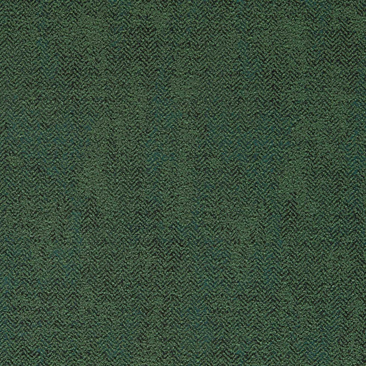 Clarke & Clarke Bjorn Moss