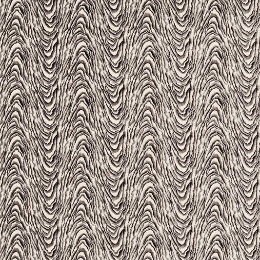 Clarke & Clarke Delvoye Noir