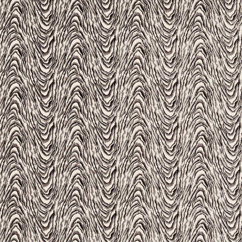 Clarke & Clarke Delvoye Noir