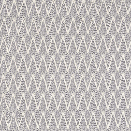 Clarke & Clarke Holzer Ink