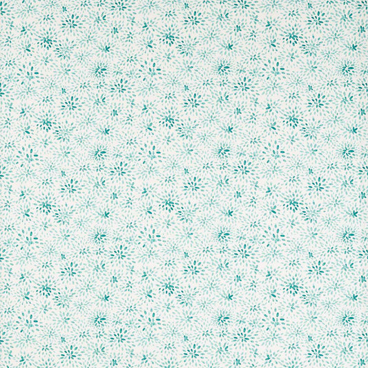 Clarke & Clarke Cara Mineral