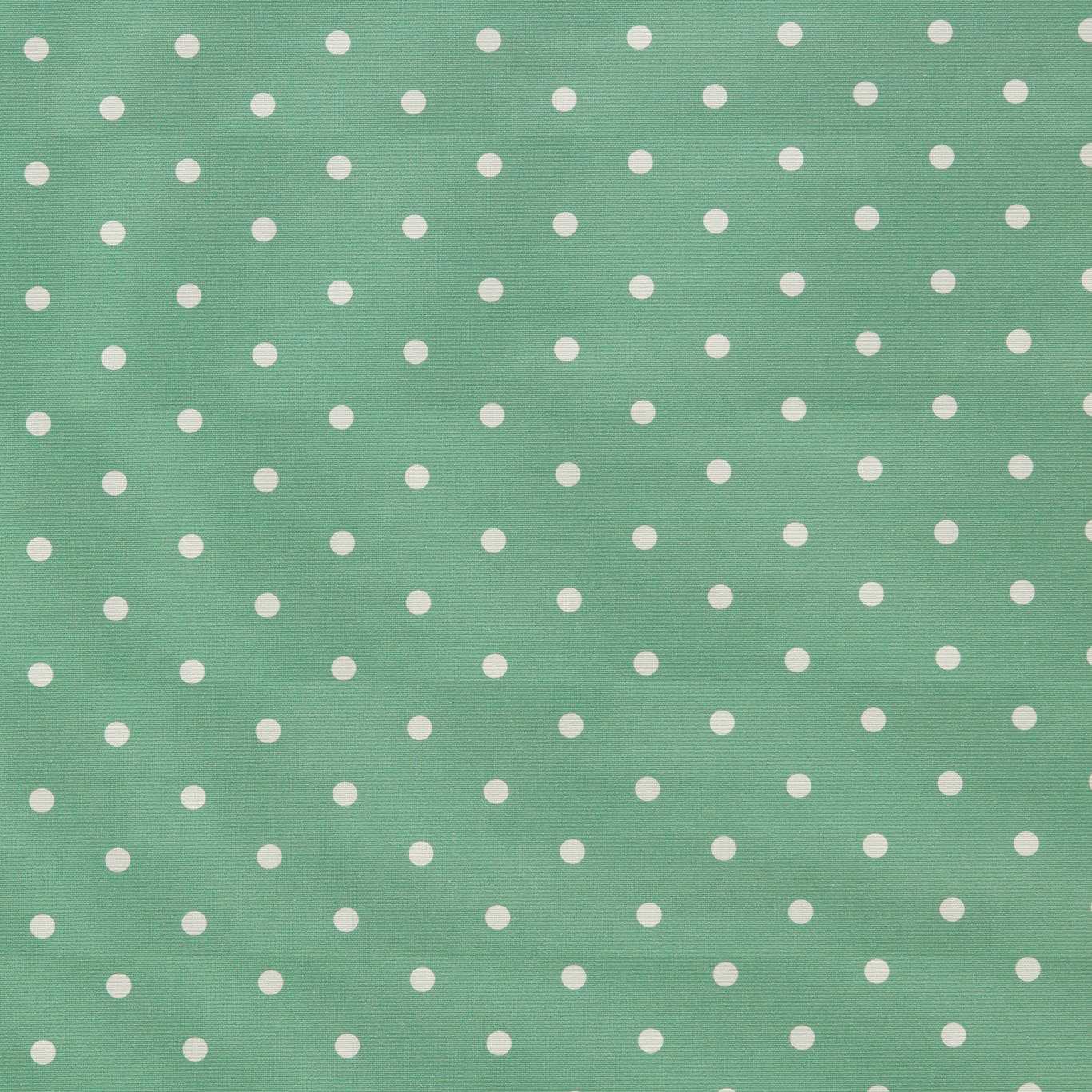 Clarke & Clarke Dotty Jade