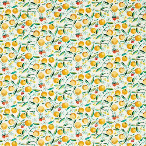 Clarke & Clarke Orange Blossom Citron