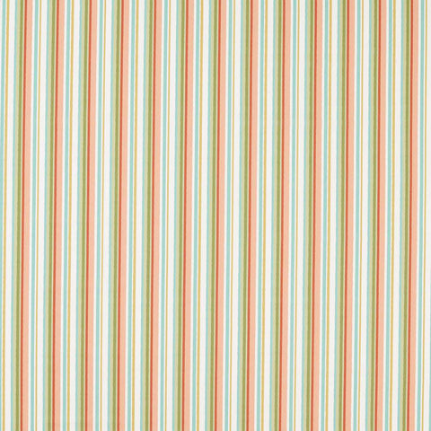 Clarke & Clarke Tutti Fruity Spice