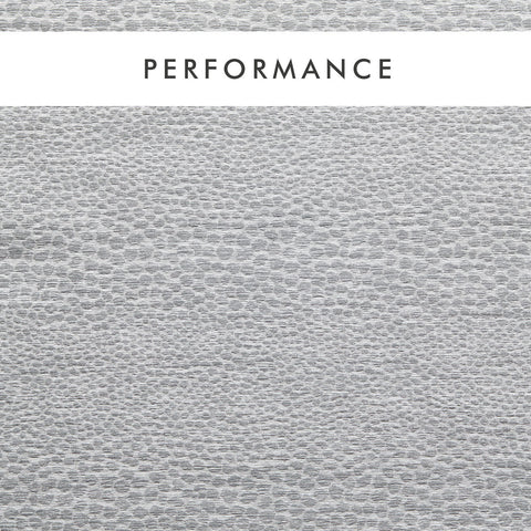 Clarke & Clarke Castus Dove