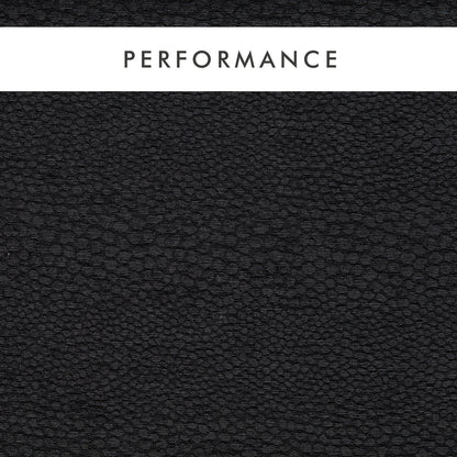 Clarke & Clarke Castus Ebony