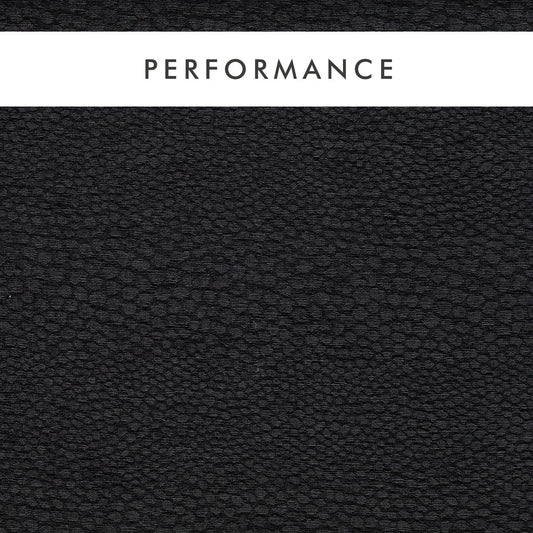 Clarke & Clarke Castus Ebony