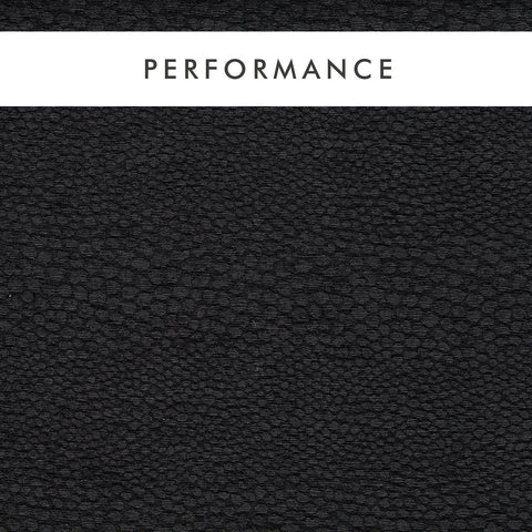 Clarke & Clarke Castus Ebony