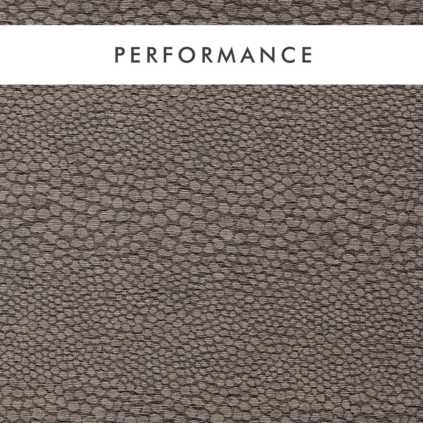 Clarke & Clarke Castus Espresso