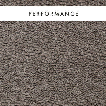 Clarke & Clarke Castus Espresso