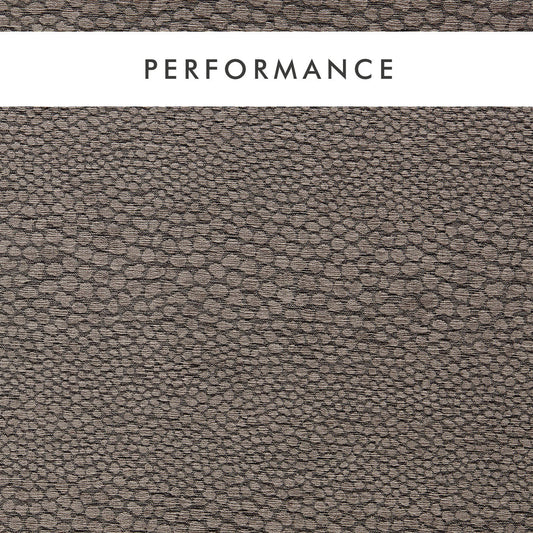 Clarke & Clarke Castus Espresso