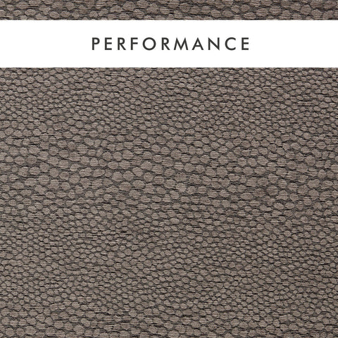 Clarke & Clarke Castus Espresso