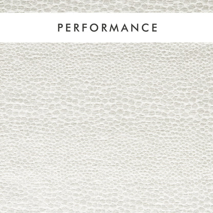 Clarke & Clarke Castus Ivory