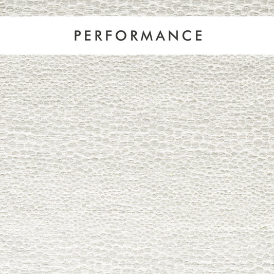 Clarke & Clarke Castus Ivory