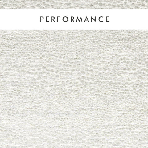 Clarke & Clarke Castus Ivory