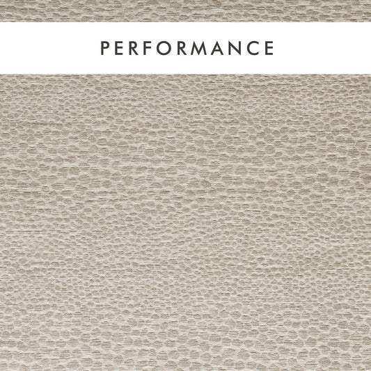 Clarke & Clarke Castus Linen