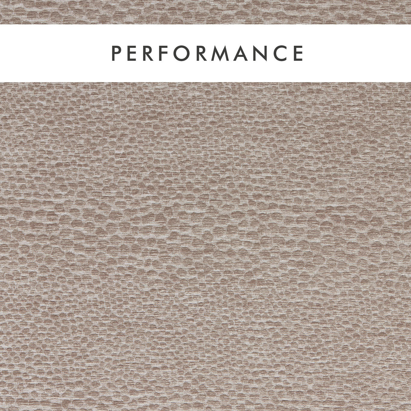 Clarke & Clarke Castus Mink