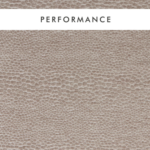 Clarke & Clarke Castus Mink