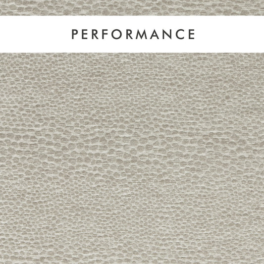 Clarke & Clarke Castus Pebble