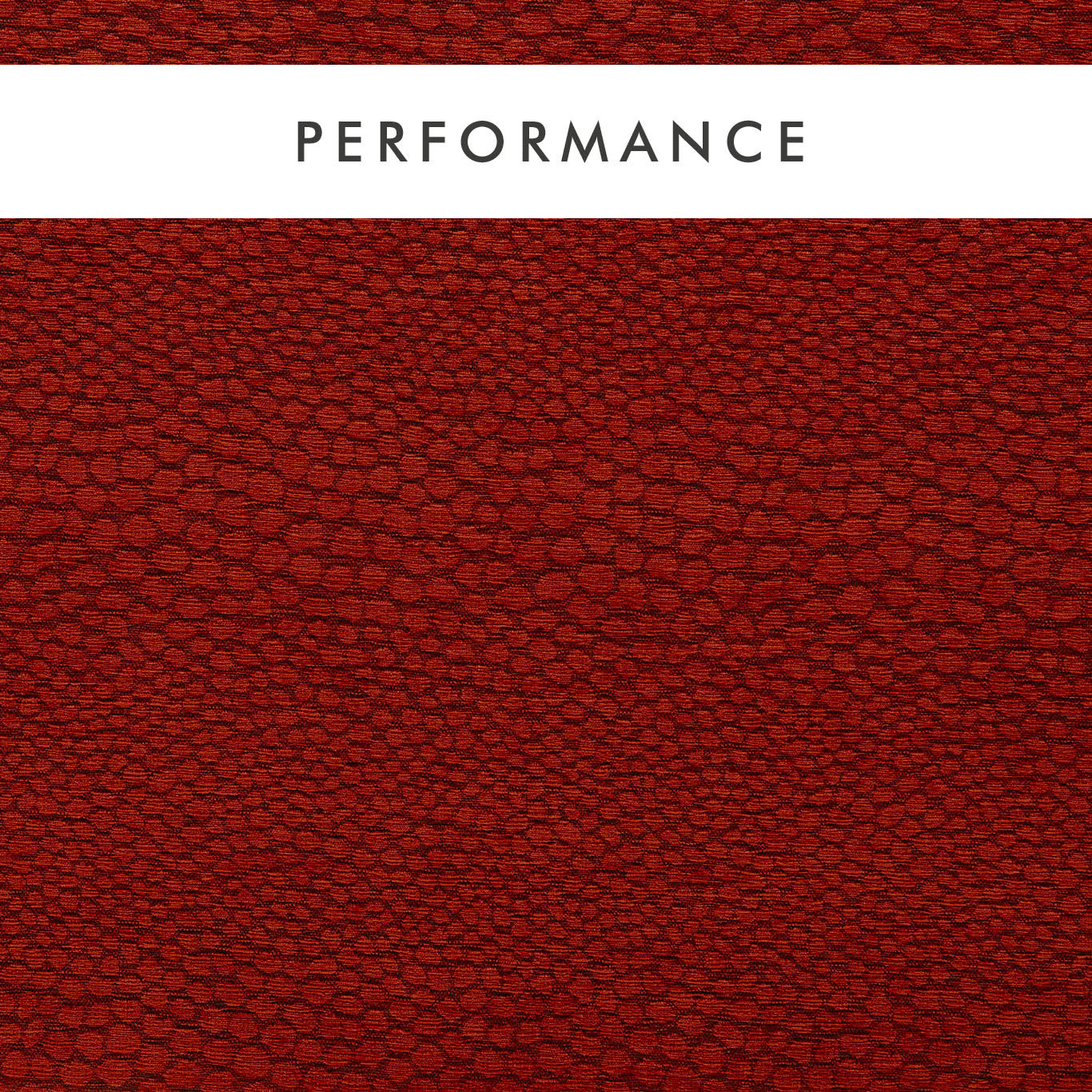 Clarke & Clarke Castus Spice