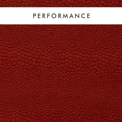 Clarke & Clarke Castus Spice