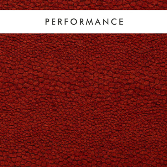 Clarke & Clarke Castus Spice