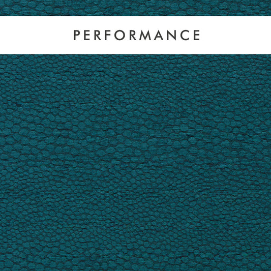 Clarke & Clarke Castus Teal