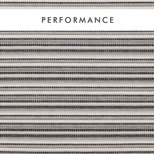 Clarke & Clarke Integer Ebony