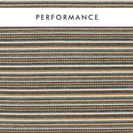 Clarke & Clarke Integer Forest