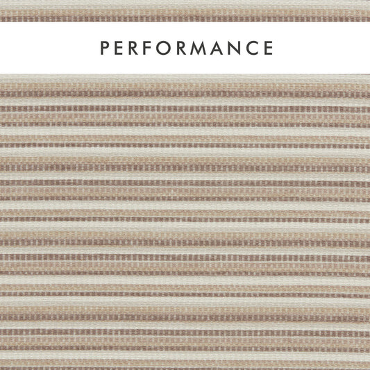 Clarke & Clarke Integer Natural